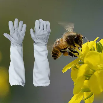 Дълги са изхвърлени в атмосферата на Пчелните ръкави, Пчелар за Пчеларството, с Ръкавици, Коза Кожата, за да проверите за пчеларството