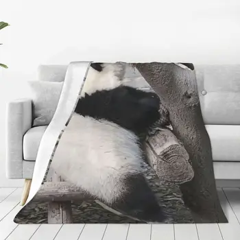 Одеяло с животни под формата на Панда Хуахуа, Меки плюшени Хипоалергенни Наметала за Постелки, Домашен Декор