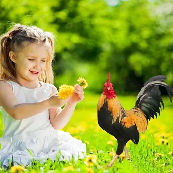 Колове за пилето градина Акрил, Водоустойчив колове за пиле на тревата Украса за градина Пиле във формата На животно на улицата И много други